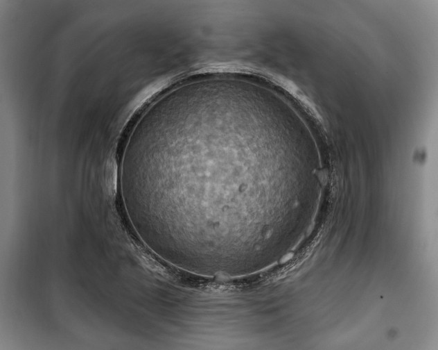 X0000100471221200806131120