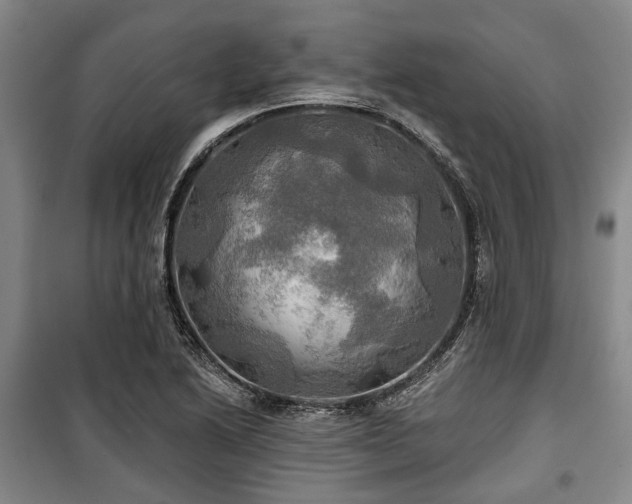 X0000100471222200806131120