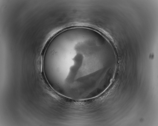 X0000100471223200806131120