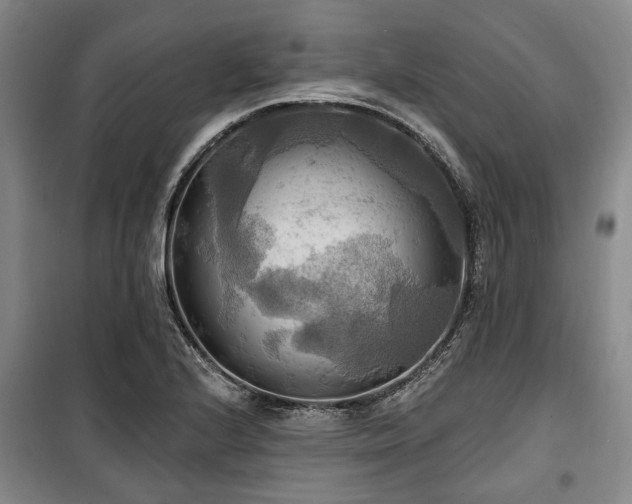 X0000100471224200806131120