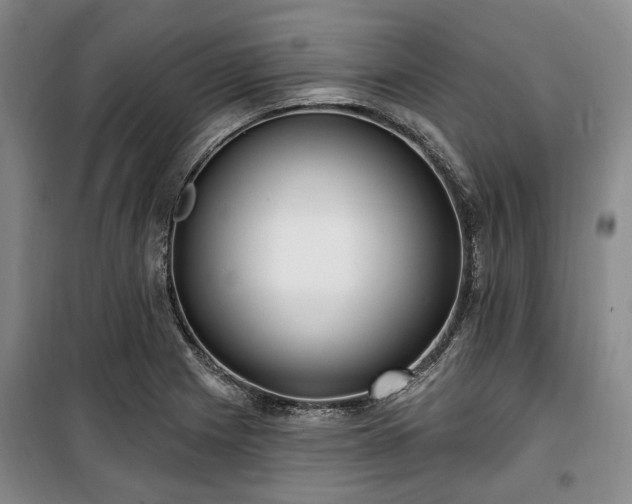 X0000100471225200806131120