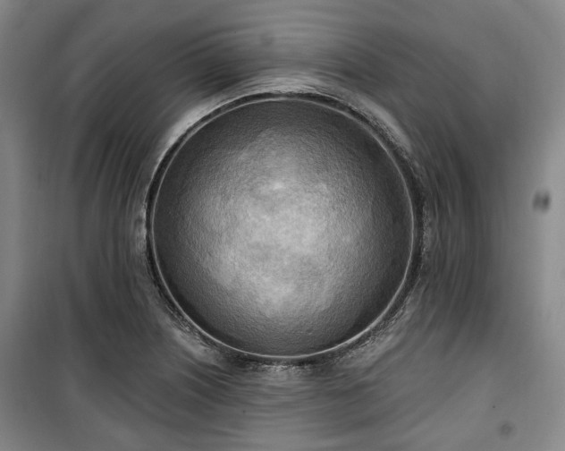 X0000100471226200806131120