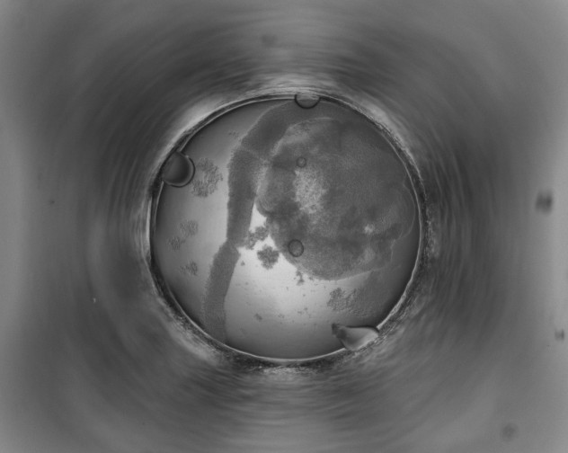 X0000100471227200806131120