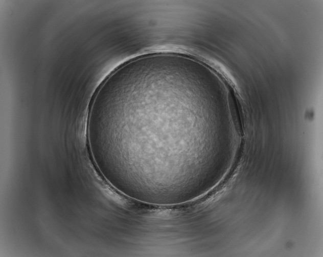 X0000100471228200806131120