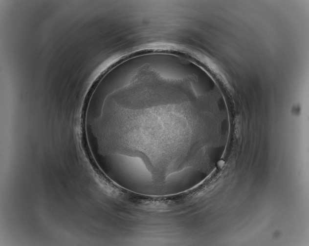 X0000100471229200806131120