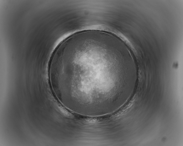 X0000100471230200806131120