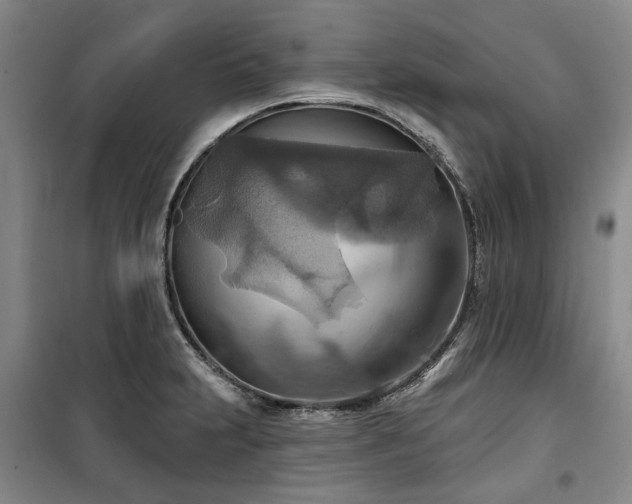 X0000100471231200806131120