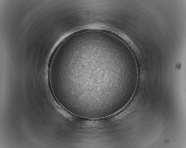 X0000100471232200806131120