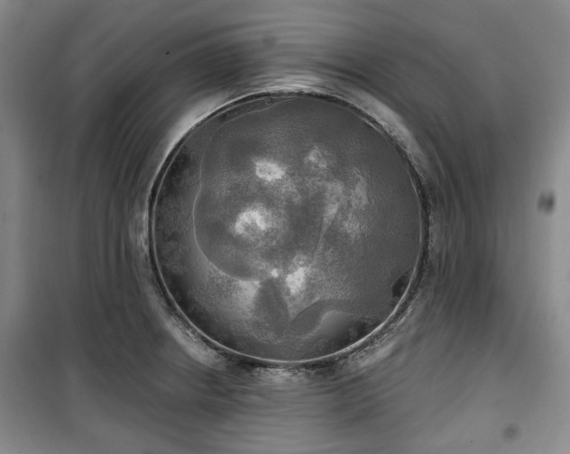 X0000100471234200806131120