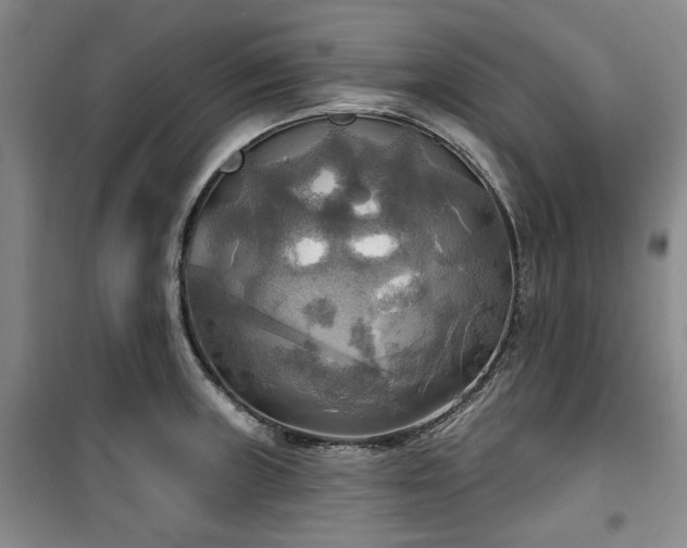 X0000100471235200806131120