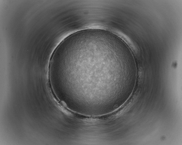 X0000100471236200806131120