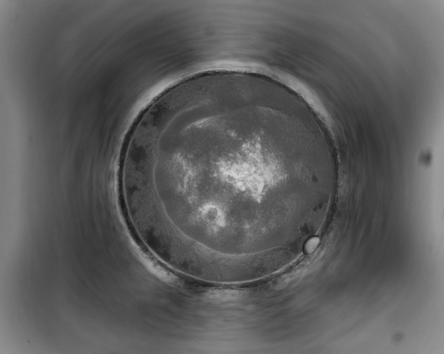 X0000100471237200806131120