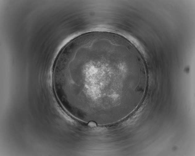 X0000100471238200806131120