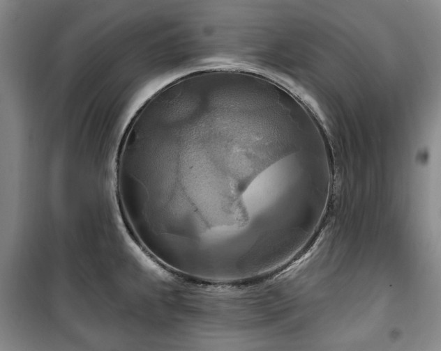 X0000100471239200806131120