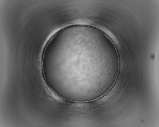 X0000100471240200806131120