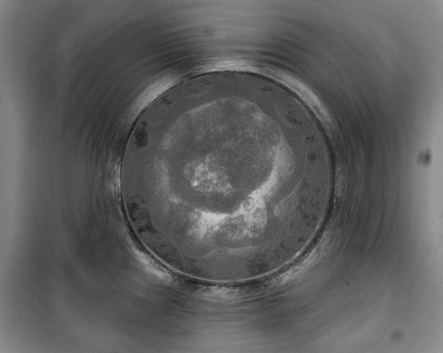 X0000100471241200806131120