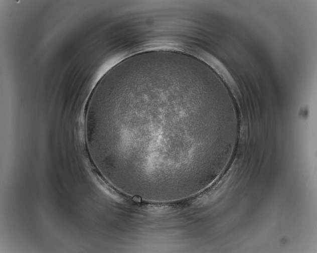 X0000100471242200806131120