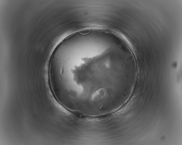 X0000100471243200806131120