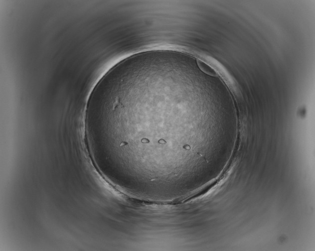 X0000100471244200806131120