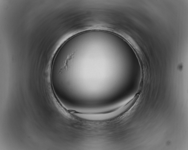 X0000100471246200806131120