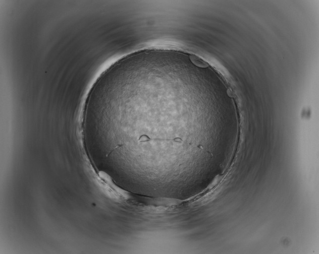 X0000100471248200806131120