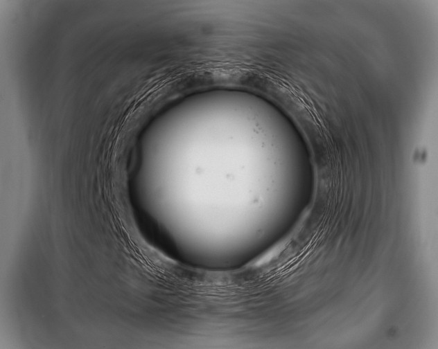 X0000100471249200806131119