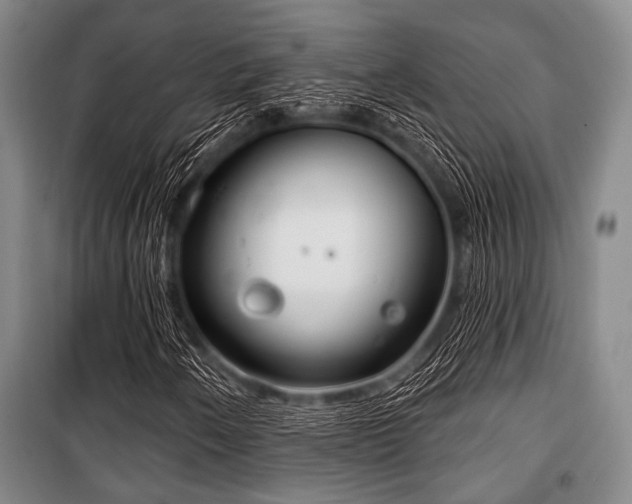 X0000100471250200806131119