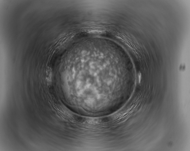 X0000100471251200806131119