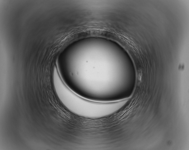 X0000100471252200806131119