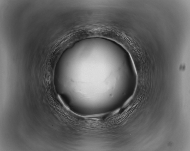 X0000100471253200806131119