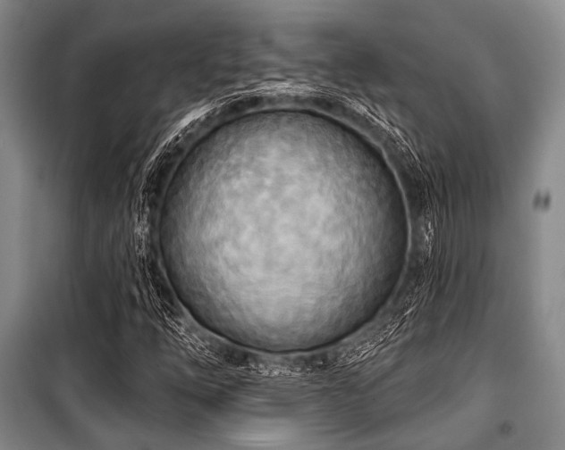 X0000100471254200806131119