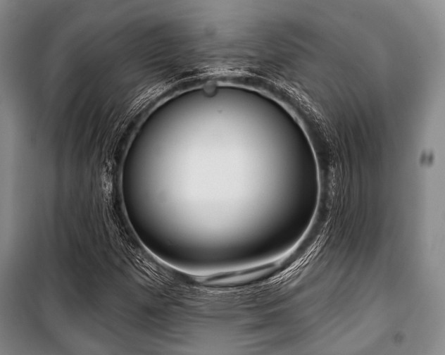 X0000100471257200806131119