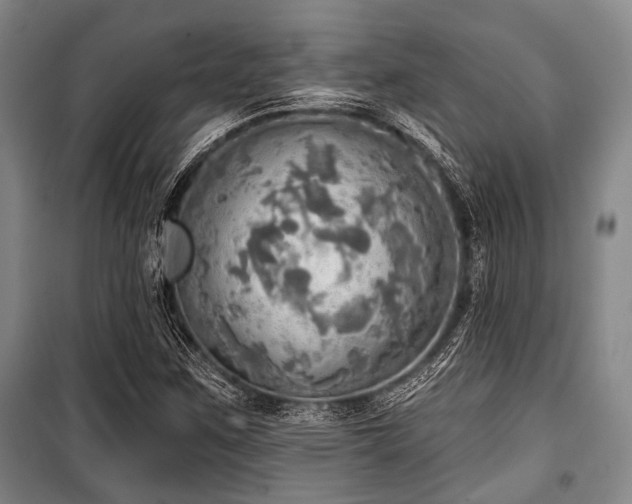 X0000100471259200806131119