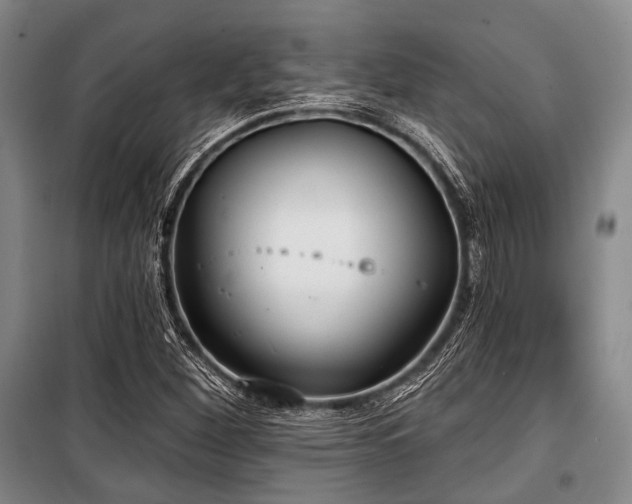 X0000100471260200806131119