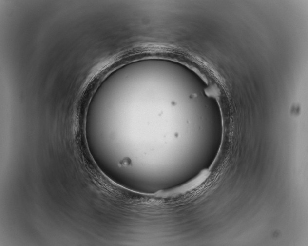 X0000100471261200806131119