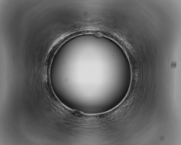 X0000100471262200806131119