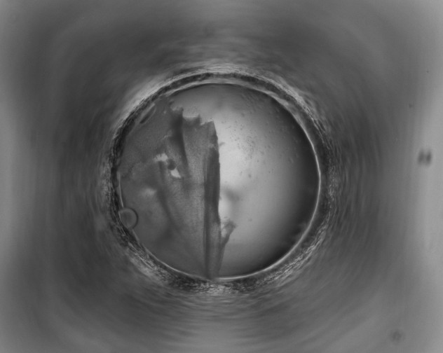 X0000100471263200806131119