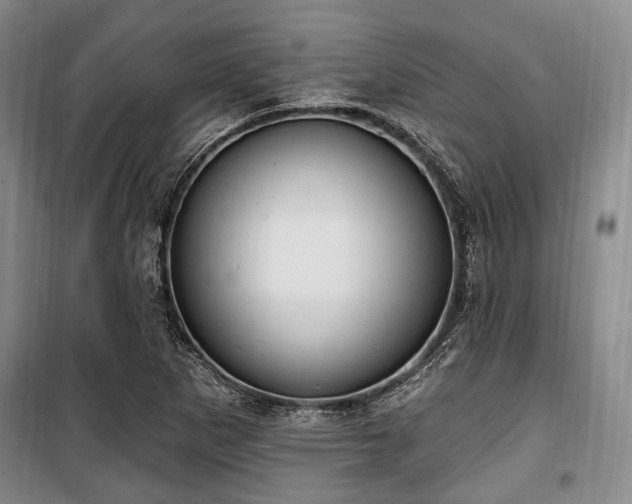 X0000100471265200806131119