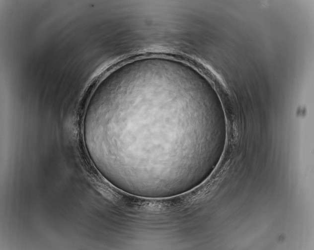 X0000100471266200806131119