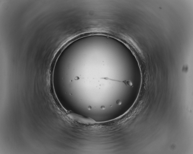 X0000100471268200806131119