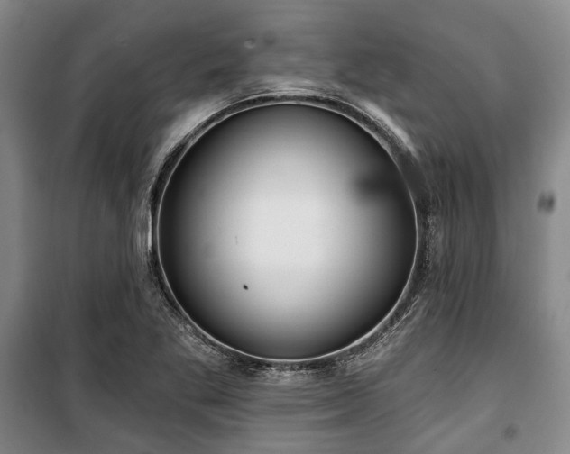 X0000100471269200806131119