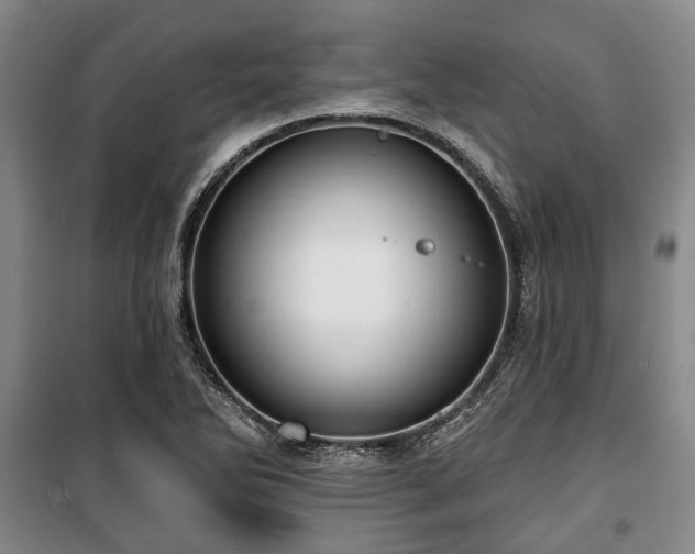 X0000100471270200806131119