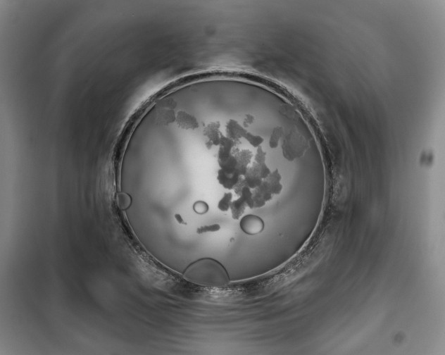 X0000100471271200806131119