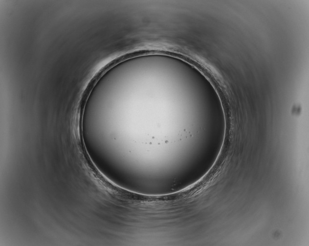 X0000100471272200806131119