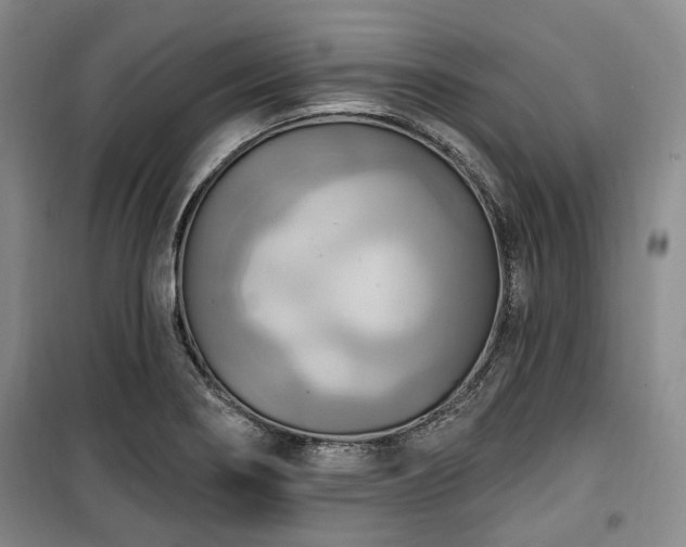 X0000100471274200806131119