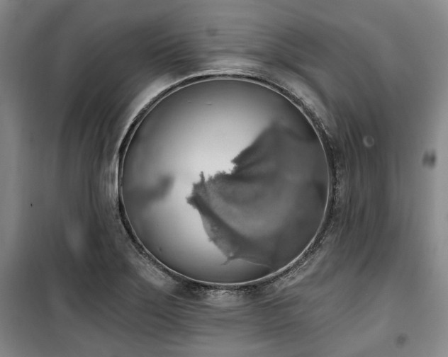 X0000100471275200806131119