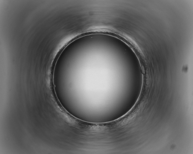 X0000100471277200806131119