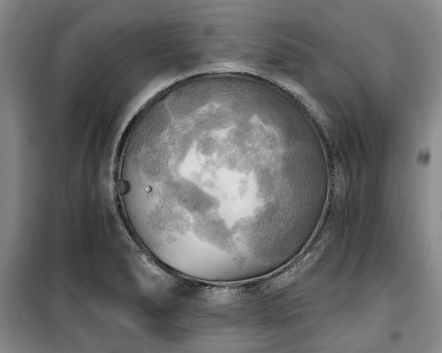 X0000100471278200806131119