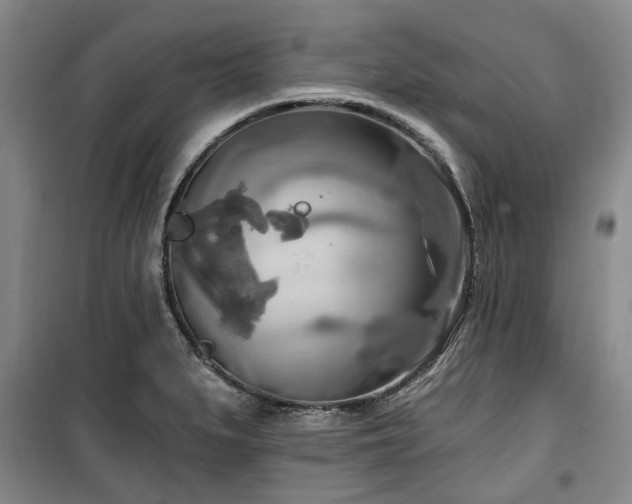 X0000100471279200806131119