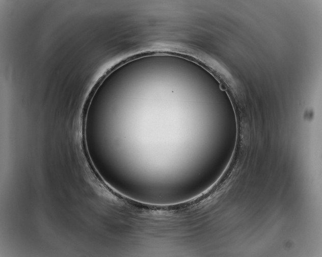 X0000100471280200806131119